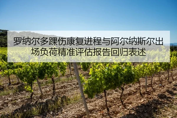 罗纳尔多踝伤康复进程与阿尔纳斯尔出场负荷精准评估报告回归表述