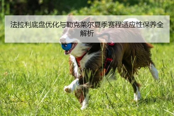 fa-la-li-di-pan-you-hua-yu-lei-ke-lai-er-xia-ji-sai-cheng-shi-ying-xing-bao-yang-quan-jie-xi-2-539.jpg